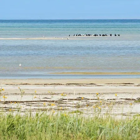 8585-glesborg-tangvej-33 * Glesborg